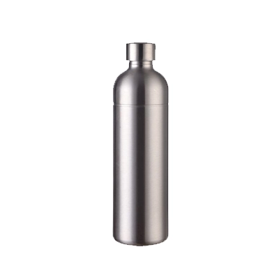 Steel Bottles